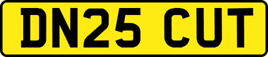 DN25CUT