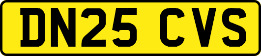 DN25CVS