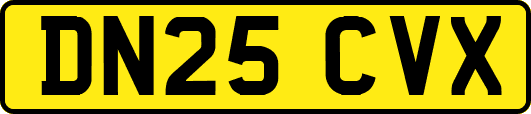 DN25CVX