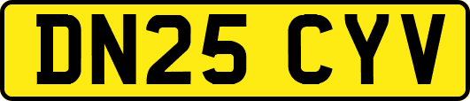 DN25CYV