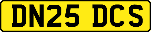 DN25DCS
