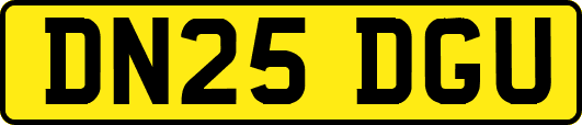 DN25DGU