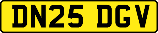 DN25DGV