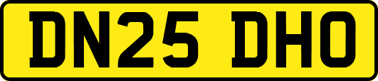 DN25DHO