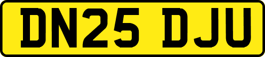 DN25DJU