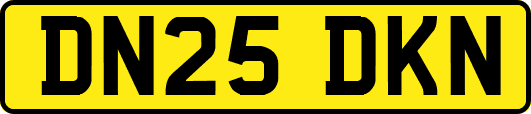 DN25DKN