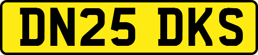 DN25DKS