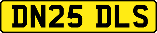 DN25DLS