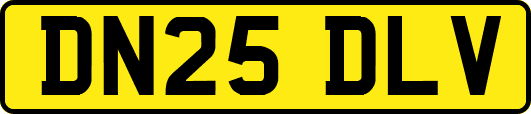 DN25DLV