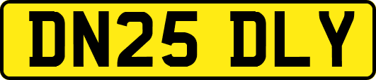 DN25DLY