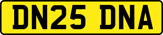 DN25DNA