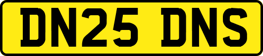 DN25DNS