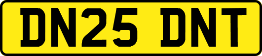 DN25DNT