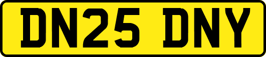 DN25DNY