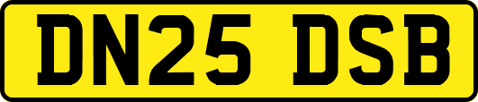 DN25DSB