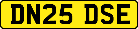 DN25DSE