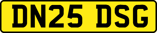 DN25DSG
