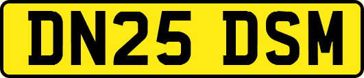 DN25DSM