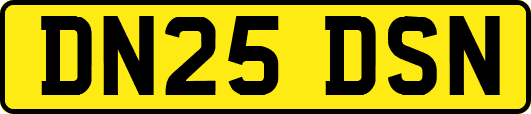 DN25DSN