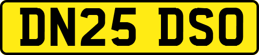 DN25DSO
