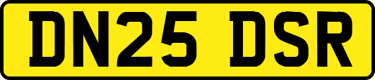 DN25DSR