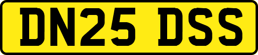 DN25DSS