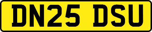 DN25DSU