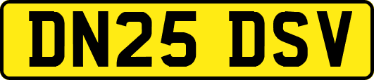 DN25DSV