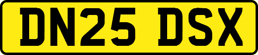 DN25DSX