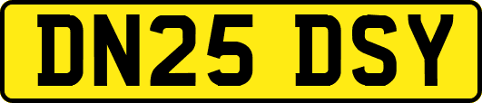 DN25DSY