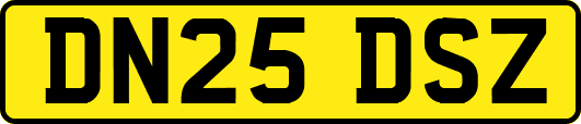 DN25DSZ