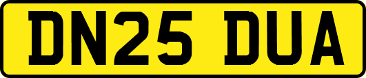 DN25DUA