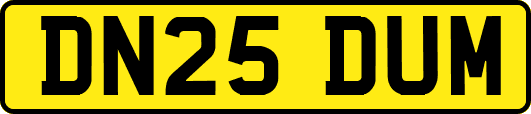 DN25DUM
