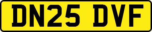 DN25DVF