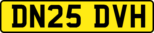 DN25DVH