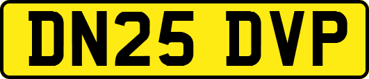 DN25DVP