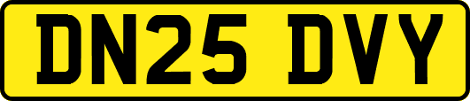 DN25DVY