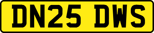 DN25DWS