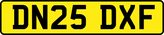 DN25DXF