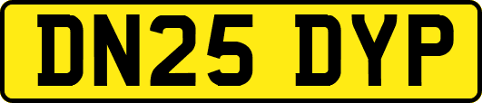 DN25DYP