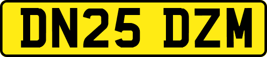 DN25DZM