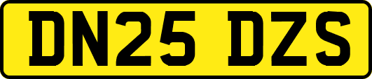 DN25DZS