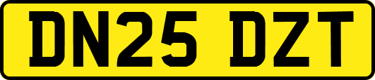 DN25DZT