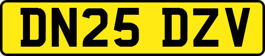 DN25DZV