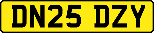 DN25DZY