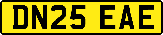DN25EAE