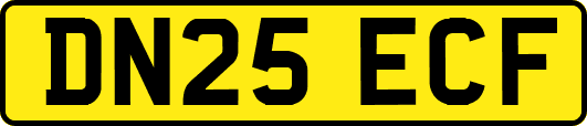 DN25ECF