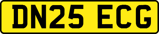 DN25ECG