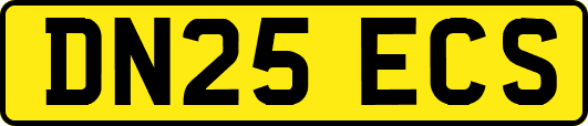 DN25ECS