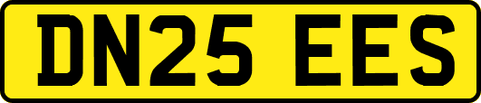 DN25EES